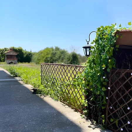 公寓 Jacque's Boutique 塞萨洛尼基